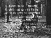 M-Ebertshaeuser-Faust-3-web