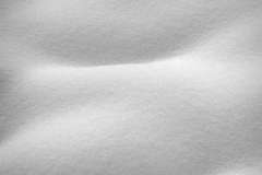 IGP1648-web