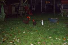 20091114-HHW-289974-web