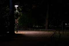 sg-nacht-web