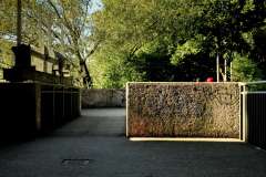 IMG_3633-web