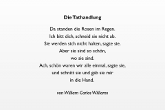 Tathandlung