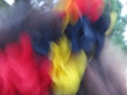 Eva_Knevels-IMG_3311-web