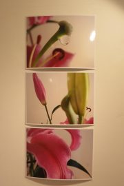 Eva_Knevels-IMG_1176-web