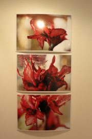 Eva_Knevels-IMG_1177-web