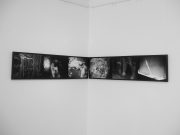 Renate_Pieper-E9161572-web