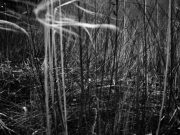 Renate_Pieper-rp-faust01-web