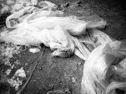 Renate_Pieper-rp-faust03-web