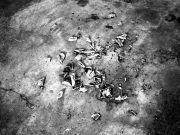 Renate_Pieper-rp-faust04-web