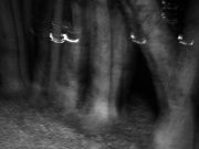 Renate_Pieper-rp-faust05-web