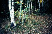 Renate_Pieper-annaeherung01-web