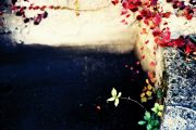Renate_Pieper-brunnen-web