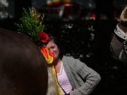 H-H-Wahl-unbenannt-291574-web