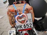 H-H-Wahl-unbenannt-303855-web